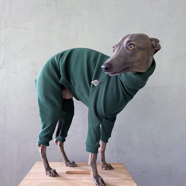 italian greyhound and whippet clothes / iggy jumpsuit / Dog Sweater / dog clothes / ropa para galgo italiano y whippet/ GREEN JUMPSUIT