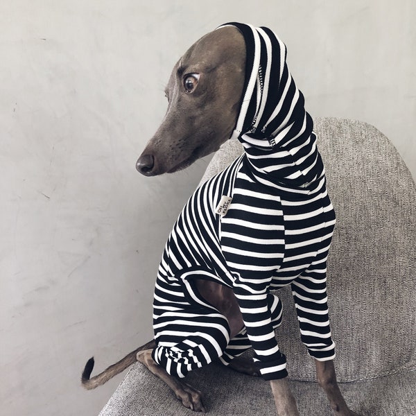 italian greyhound and whippet clothes / iggy jumpsuit / Dog Sweater / dog clothes / ropa para galgo italiano y whippet/ STRIPED JUMPSUIT