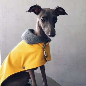 iggy and whippet raincoat / waterproof and windproof coat / iggy raincoat / iggy clothes / ropa para golo italiano y whippet / YELLOW image 3