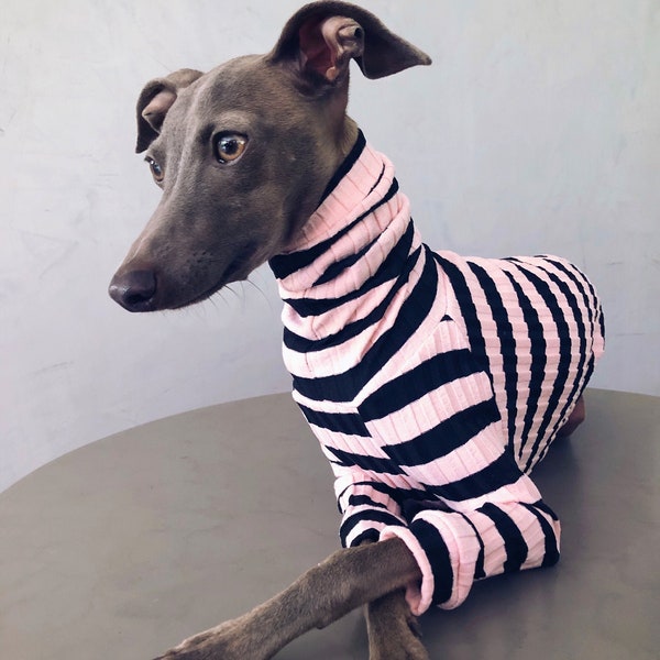italian greyhound and whippet clothes / iggy clothes / Dog Sweater / ropa para galgo italiano y whippet /BLACK & PINK