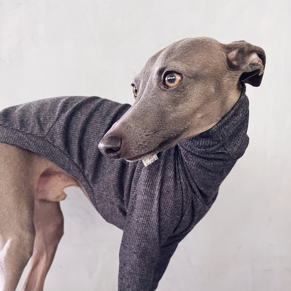 italian greyhound and whippet clothes / iggy clothes / Dog Sweater / stripes dog clothes / ropa para galgo italiano y whippet / GRAY