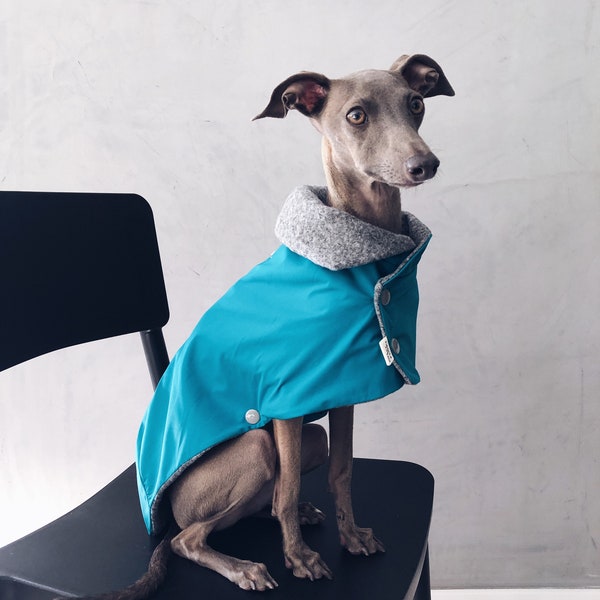 iggy and whippet raincoat / waterproof and windproof coat / iggy raincoat / iggy clothes / ropa para galgo italiano y whippet / TEAL