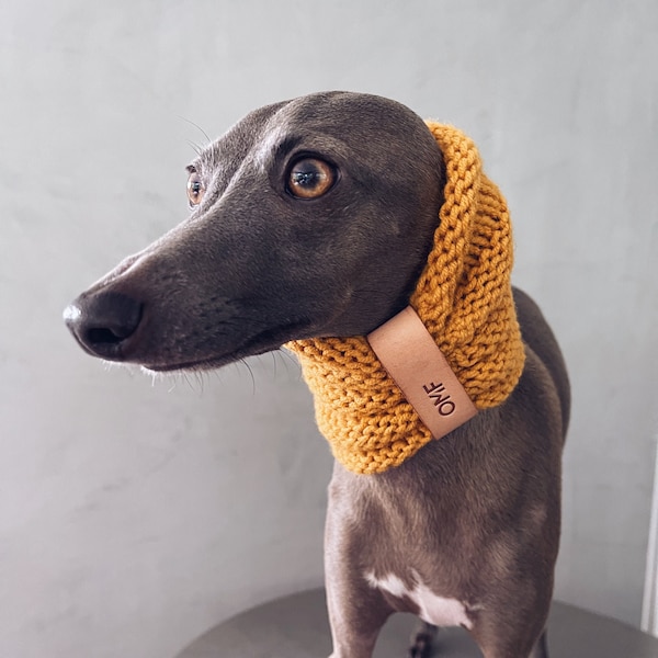 whippet snood / Greyhound snood / iggy raincoat / iggy clothes / clothing for Italian greyhound and whippet / Knit Snood / MUSTARD