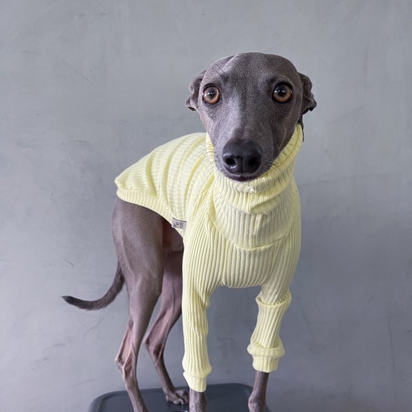italian greyhound and whippet clothes / iggy clothes / Dog Sweater / stripes dog clothes / ropa para galgo italiano y whippet / LEMON YELLOW