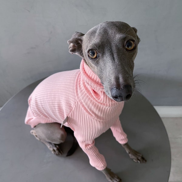 italian greyhound and whippet clothes / iggy clothes / Dog Sweater / stripes dog clothes / ropa para galgo italiano y whippet / FLAMINGO