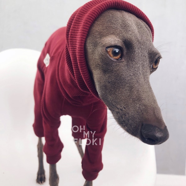 italian greyhound and whippet clothes / iggy jumpsuit / Dog Sweater / dog clothes / ropa para galgo italiano y whippet/ BURGUNDY JUMPSUIT