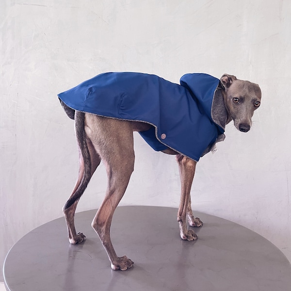 iggy and whippet raincoat / waterproof and windproof coat / iggy raincoat / iggy clothes / ropa para golo italiano y whippet / YALE BLUE