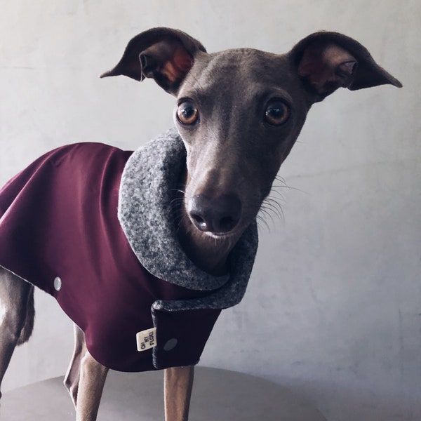 iggy and whippet raincoat / waterproof and windproof coat / iggy raincoat / iggy clothes / ropa para golo italiano y whippet / EGGPLANT