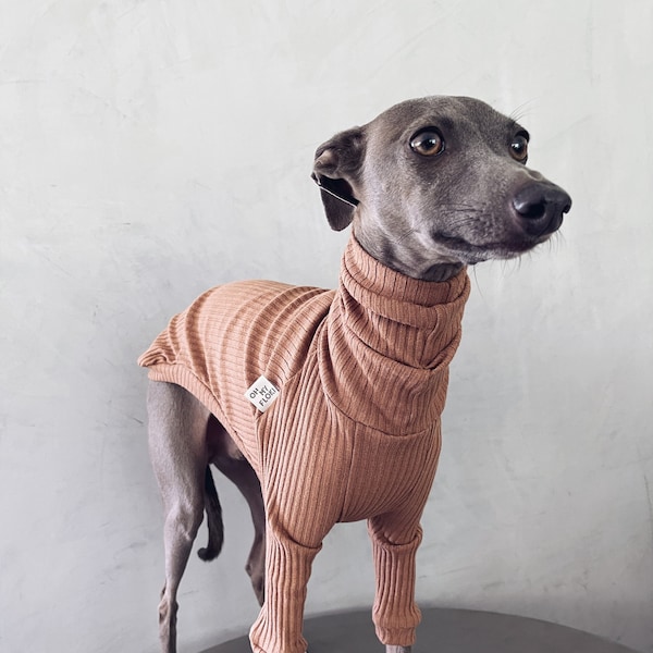 italian greyhound and whippet clothes / iggy clothes / Dog Sweater / stripes dog clothes / ropa para golo italiano y whippet / CHOCOLATE
