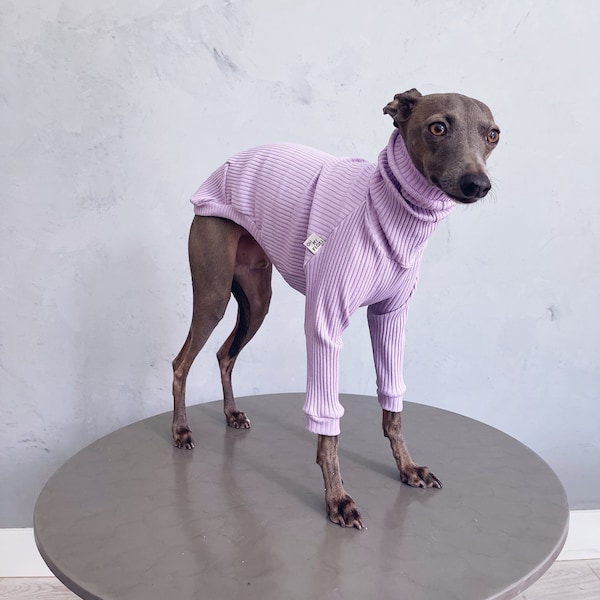 italian greyhound and whippet clothes / iggy clothes / Dog Sweater / stripes dog clothes / ropa para galgo italiano y whippet / LILAC