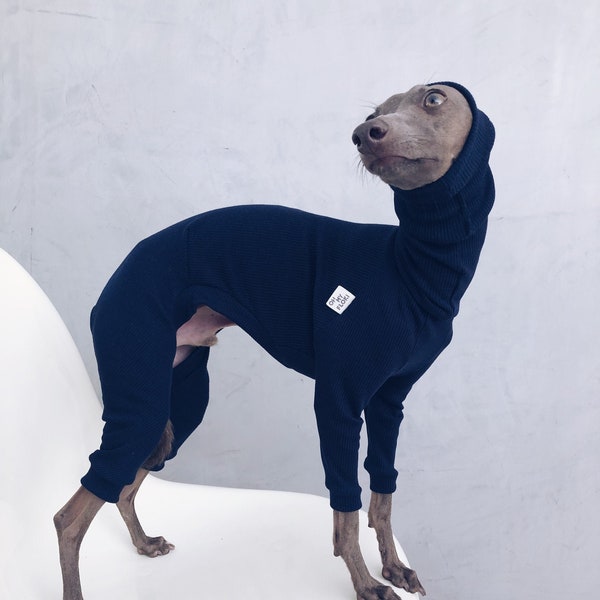 italian greyhound and whippet clothes / iggy jumpsuit / Dog Sweater / dog clothes / ropa para galgo italiano y whippet/ DARK BLUE JUMPSUIT