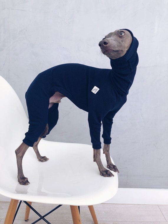 Italian Greyhound and Whippet Clothes / Iggy Jumpsuit / Dog Sweater / Dog  Clothes / Ropa Para Galgo Italiano Y Whippet/ DARK BLUE JUMPSUIT 