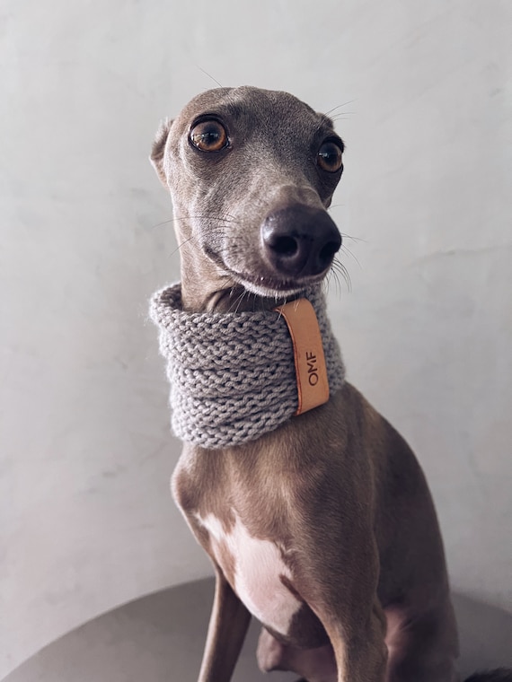 Whippet Snood Greyhound Snood Iggy Raincoat Iggy Clothes Clothing for Italian Greyhound and Whippet Knit Snood GRAY Etsy