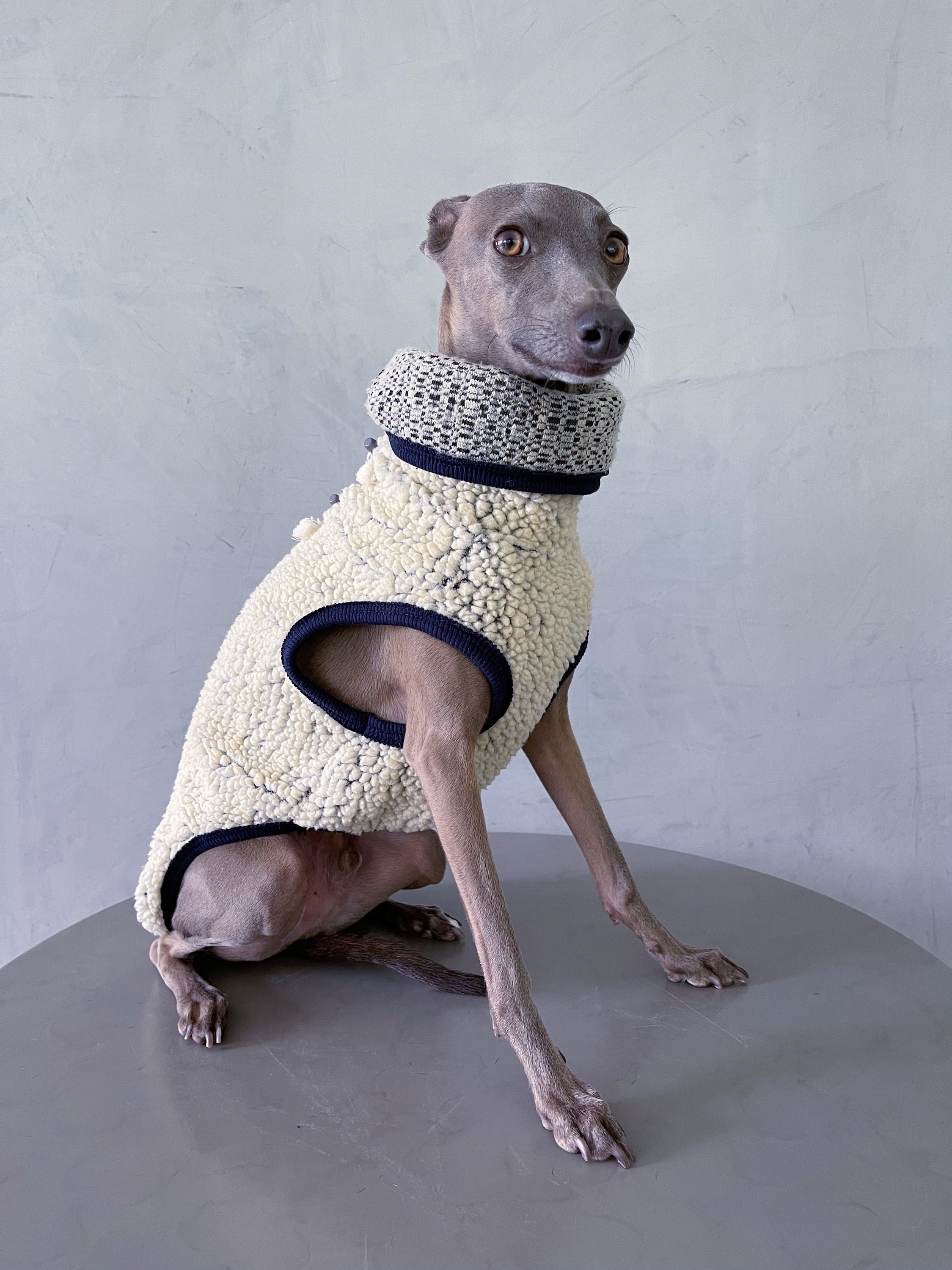 Iggy- und Whippet-Sherpa-Fleeceweste/ Iggy-Fleece/Iggy-Kleidung/Hundejacke/Kleidung für italienische Windhunde und Whippet/SHERPA BLUE