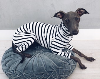 italian greyhound and whippet clothes / iggy jumpsuit / Dog Sweater / dog clothes / ropa para galgo italiano y whippet/ STRIPED JUMPSUIT