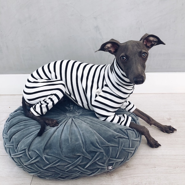 italian greyhound and whippet clothes / iggy jumpsuit / Dog Sweater / dog clothes / ropa para galgo italiano y whippet/ STRIPED JUMPSUIT