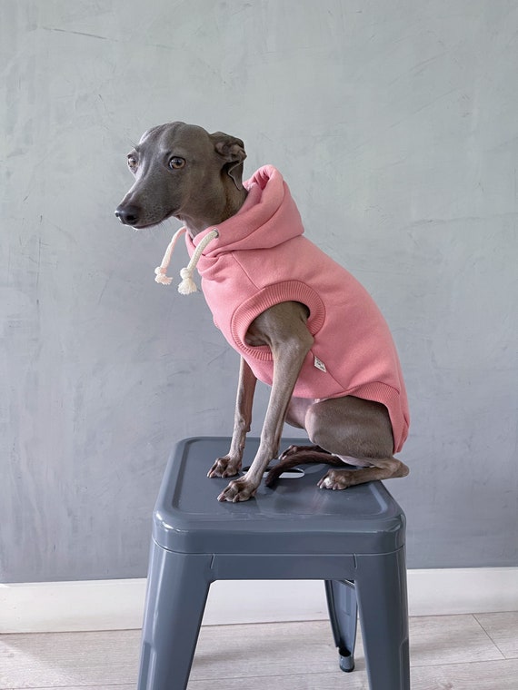 Italian Greyhound Whippet Clothes Iggy Clothes Dog Hoodie Stripes Dog Clothes Clothes for Italian Greyhound Whippet PINK Etsy