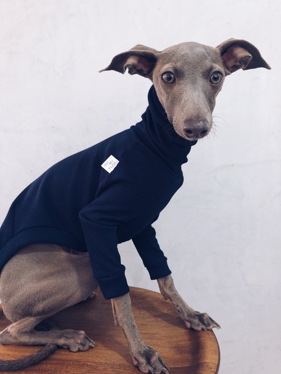 Italian Greyhound and Whippet Clothes / Iggy Clothes / Dog Sweater / Ropa  Para Galgo Italiano Y Whippet/ DARK BLUE 