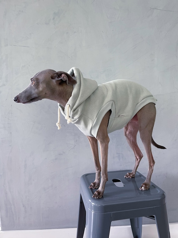 Italian Greyhound Zip Up Hoodie - Men's Green Italian Greyhound Zip Up Hoodie - Men's Green