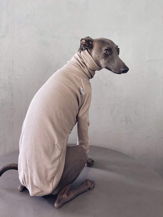 Italian Greyhound and Whippet Clothes Iggy Clothes Dog Sweater