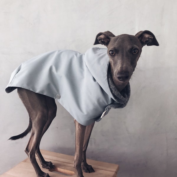 iggy and whippet raincoat / waterproof and windproof coat / iggy raincoat / iggy clothes / ropa para golo italiano y whippet / GRAY