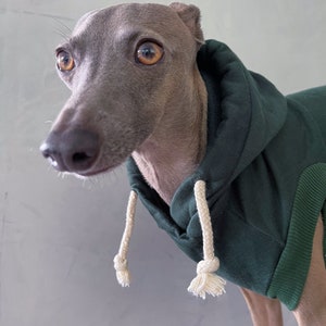 italian greyhound and whippet clothes / iggy clothes / Dog hoodie / stripes dog clothes / clothes for italian greyhound and whippet / GREEN HOODIE image 5