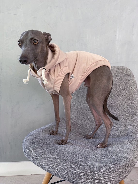 Italian greyhound & whippet clothes / iggy clothes / Dog hoodie