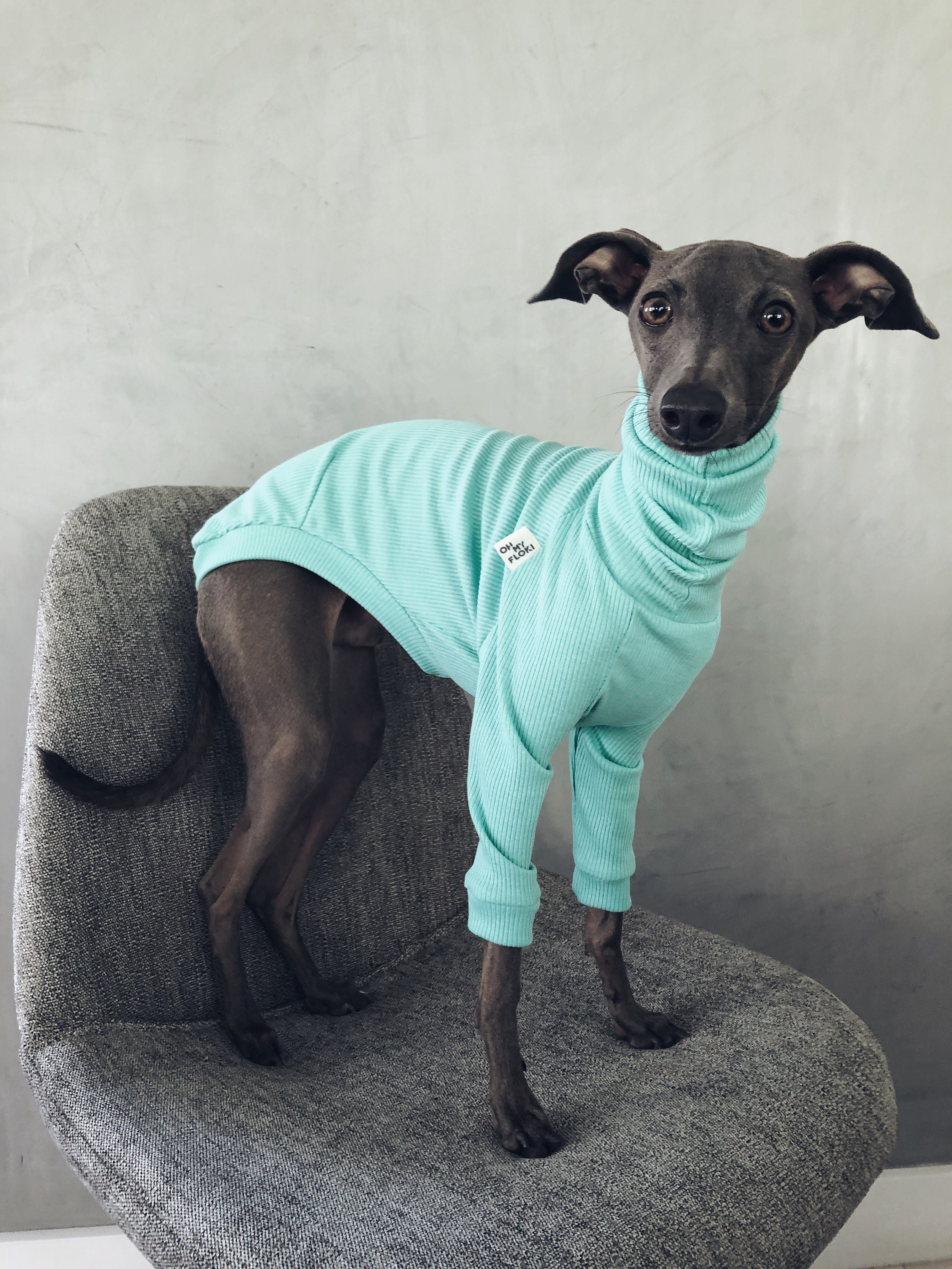 Italian greyhound and whippet clothes / iggy jumpsuit / Dog Sweater / dog  clothes / ropa para galgo italiano y whippet/ DARK BLUE JUMPSUIT -   Portugal