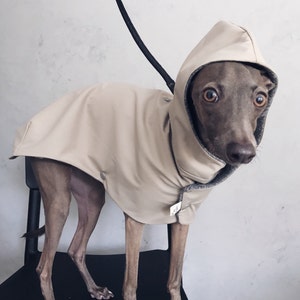 iggy and whippet raincoat / waterproof and windproof coat / iggy raincoat / iggy clothes / clothes for Italian greyhound and whippet / SAND