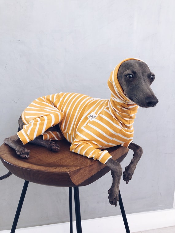 Doggie Shirts - Lightweight Sleeveless String Vest For Small Dogs - Su
