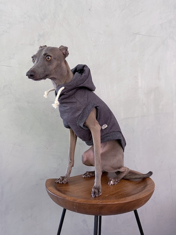 Italian Greyhound Zip Up Hoodie Italian Greyhound Zip Up Hoodie