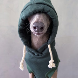 italian greyhound and whippet clothes / iggy clothes / Dog hoodie / stripes dog clothes / clothes for italian greyhound and whippet / GREEN HOODIE image 2