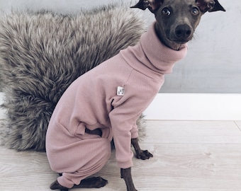 italian greyhound and whippet clothes / iggy jumpsuit / Dog Sweater / dog clothes / ropa para galgo italiano y whippet/ PALE PINK JUMPSUIT