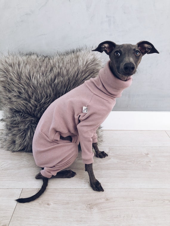 Italian Greyhound and Whippet Clothes / Iggy Jumpsuit / Dog Sweater / Dog  Clothes / Ropa Para Galgo Italiano Y Whippet/ PALE PINK JUMPSUIT 