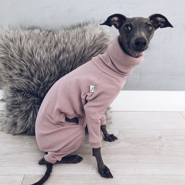 italian greyhound and whippet clothes / iggy jumpsuit / Dog Sweater / dog clothes / ropa para galgo italiano y whippet/ PALE PINK JUMPSUIT