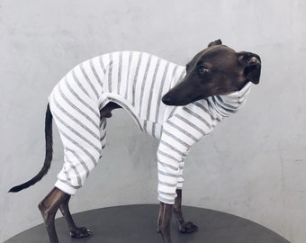 italian greyhound and whippet clothes / iggy jumpsuit / Dog Sweater / dog clothes / ropa para galgo italiano y whippet/ STRIPED JUMPSUIT