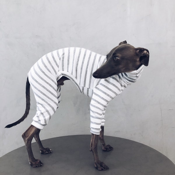 italian greyhound and whippet clothes / iggy jumpsuit / Dog Sweater / dog clothes / ropa para galgo italiano y whippet/ STRIPED JUMPSUIT