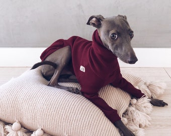 italian greyhound and whippet clothes / iggy clothes / Dog Sweater / clothes for italian greyhound and whippet / BURGUNDY