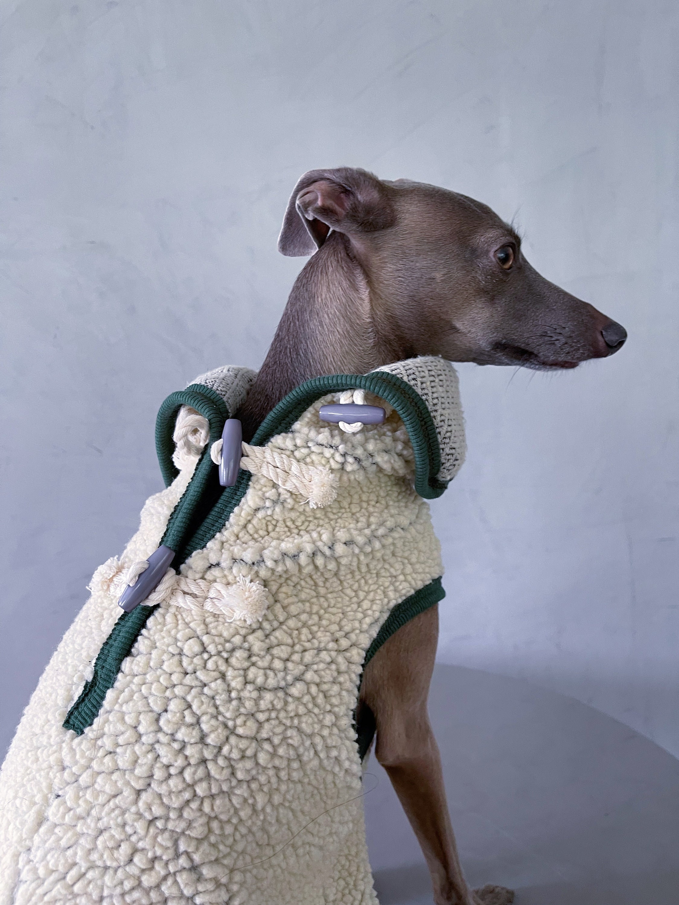 Italian greyhound and whippet clothes / iggy jumpsuit / Dog Sweater / dog  clothes / ropa para galgo italiano y whippet/ DARK BLUE JUMPSUIT -   Portugal