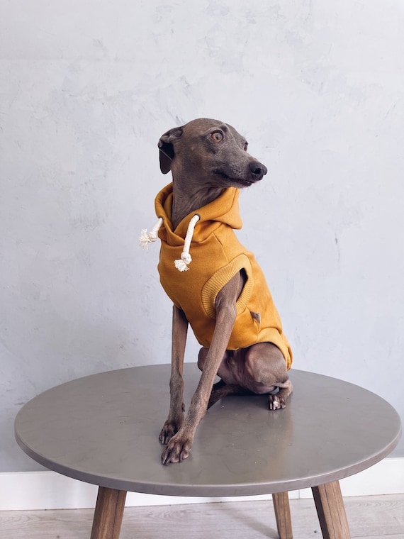 Whippet hoodie on sale