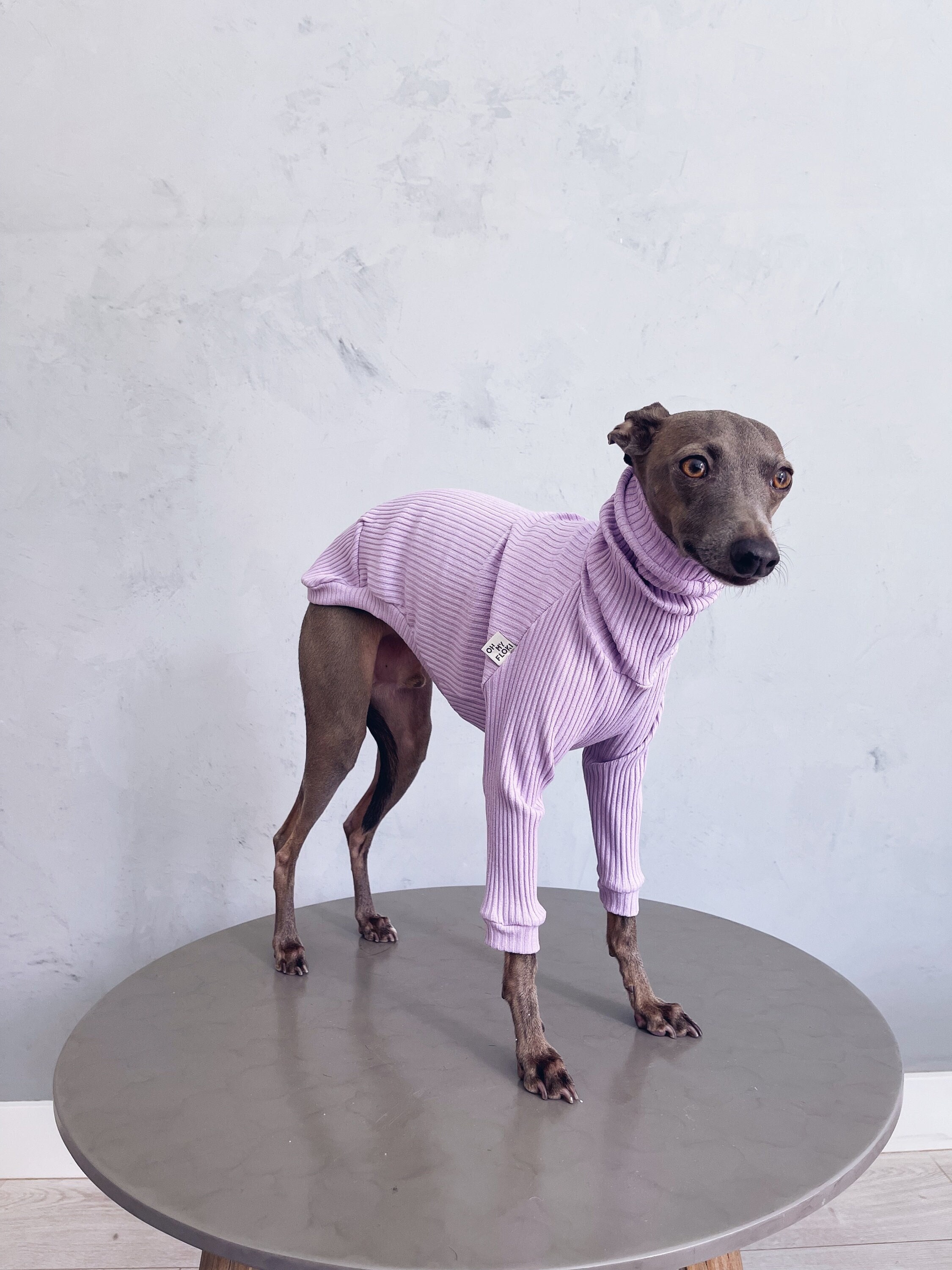 Italian greyhound and whippet clothes / iggy jumpsuit / Dog Sweater / dog  clothes / ropa para galgo italiano y whippet/ DARK BLUE JUMPSUIT -   Portugal