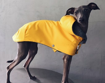 iggy and whippet raincoat / waterproof and windproof coat / iggy raincoat / iggy clothes / ropa para galgo italiano y whippet / YELLOW