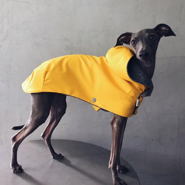 iggy and whippet raincoat / waterproof and windproof coat / iggy raincoat / iggy clothes / ropa para golo italiano y whippet / YELLOW