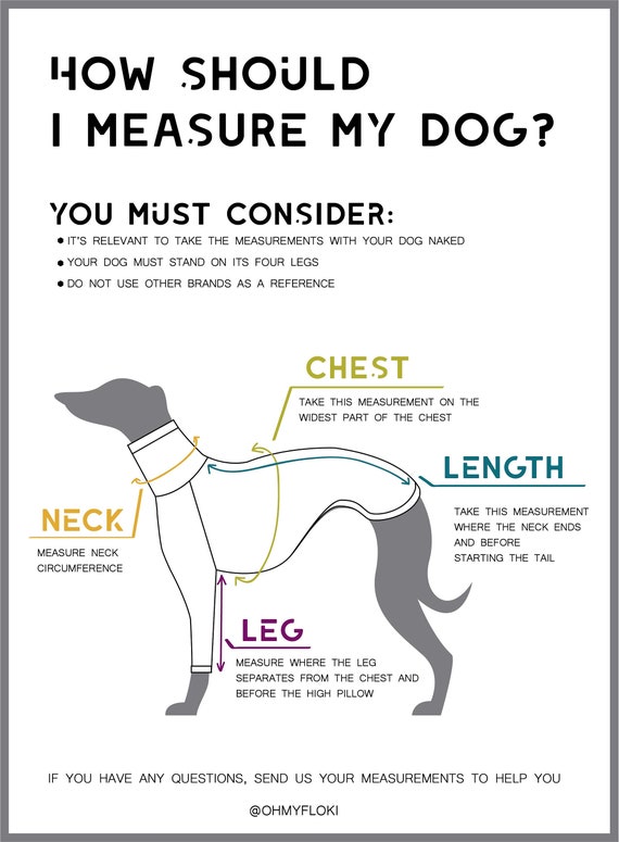 how to measure a whippet for a coat