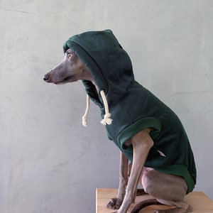 italian greyhound and whippet clothes / iggy clothes / Dog hoodie / stripes dog clothes / clothes for italian greyhound and whippet / GREEN HOODIE image 6