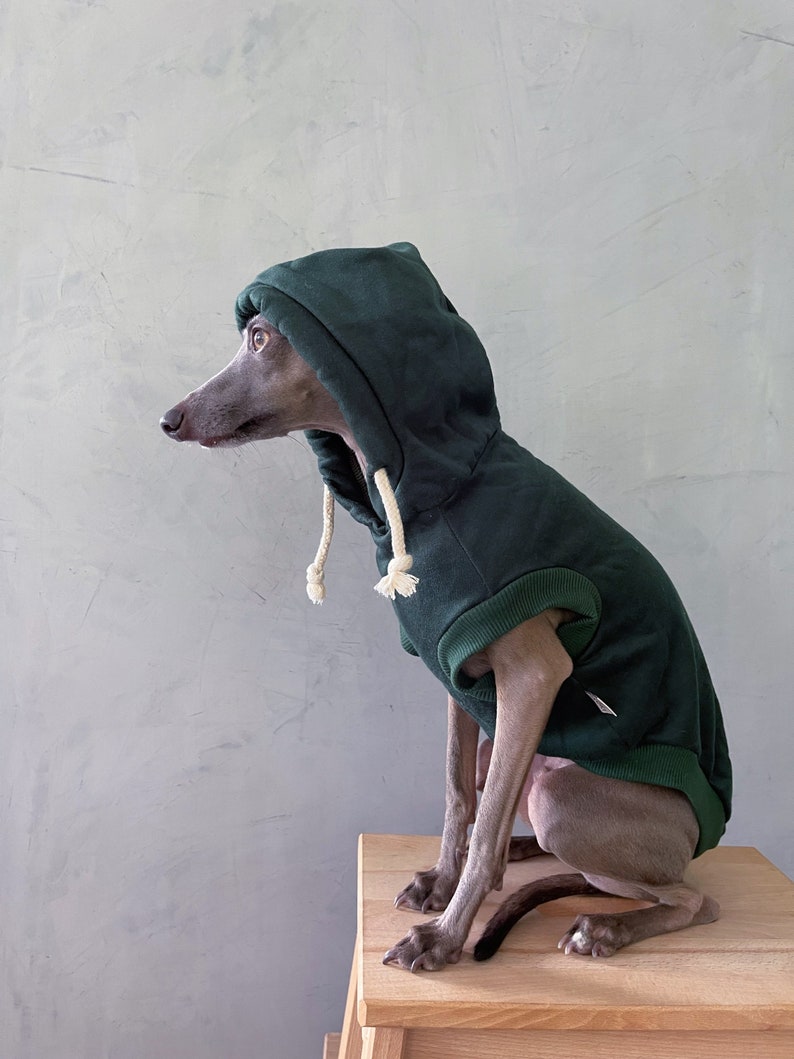 italian greyhound and whippet clothes / iggy clothes / Dog hoodie / stripes dog clothes / clothes for italian greyhound and whippet / GREEN HOODIE image 6