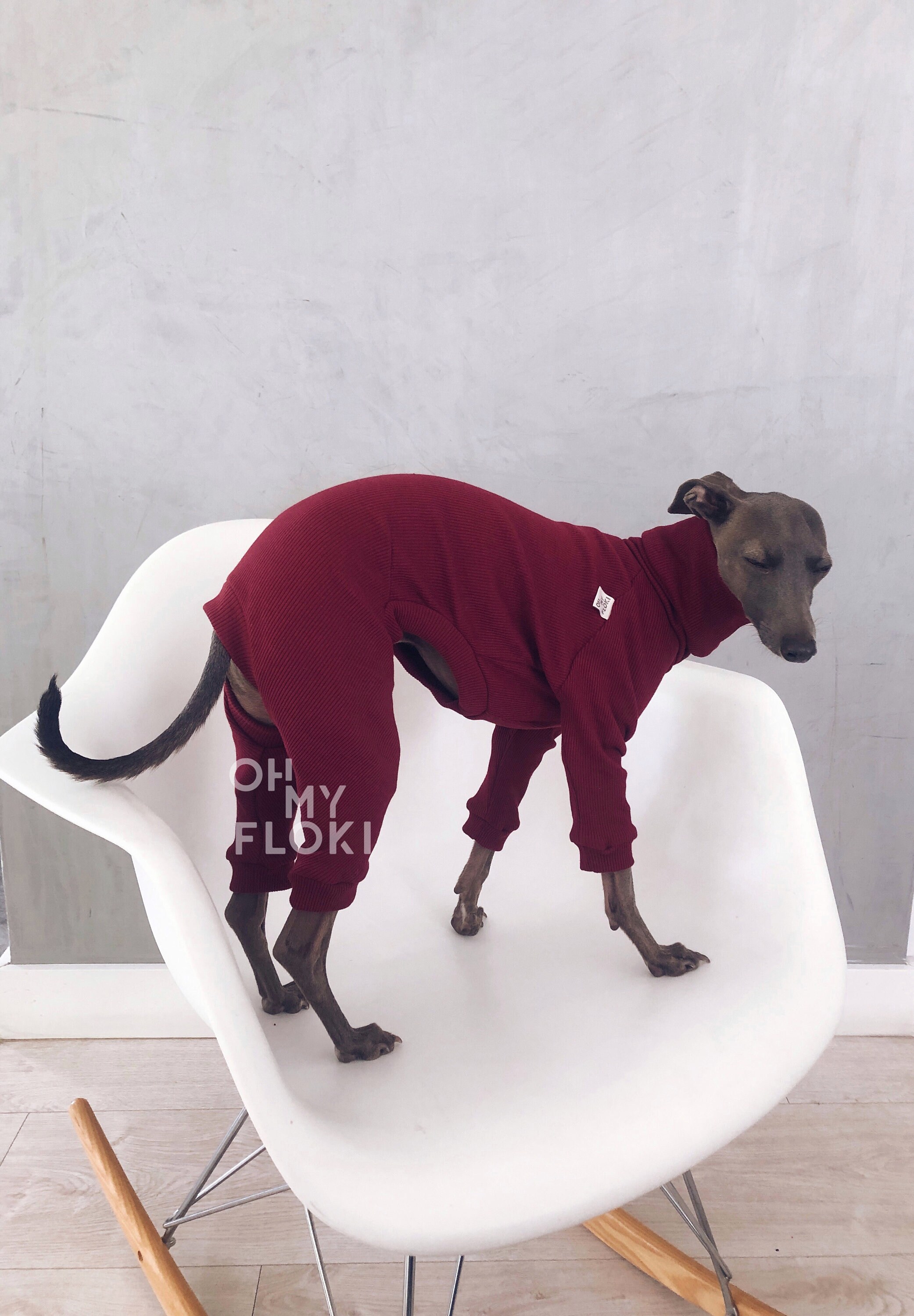 Italian greyhound and whippet clothes / iggy jumpsuit / Dog Sweater / dog  clothes / ropa para galgo italiano y whippet/ DARK BLUE JUMPSUIT -   Portugal