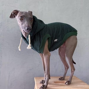 italian greyhound and whippet clothes / iggy clothes / Dog hoodie / stripes dog clothes / clothes for italian greyhound and whippet / GREEN HOODIE image 4