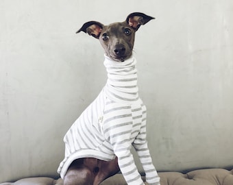 italian greyhound and whippet clothes / iggy clothes / Dog Sweater / stripes dog clothes / clothes for italian greyhound and whippet