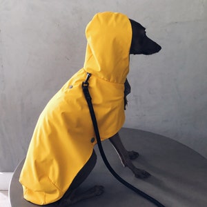 iggy and whippet raincoat / waterproof and windproof coat / iggy raincoat / iggy clothes / ropa para golo italiano y whippet / YELLOW image 5